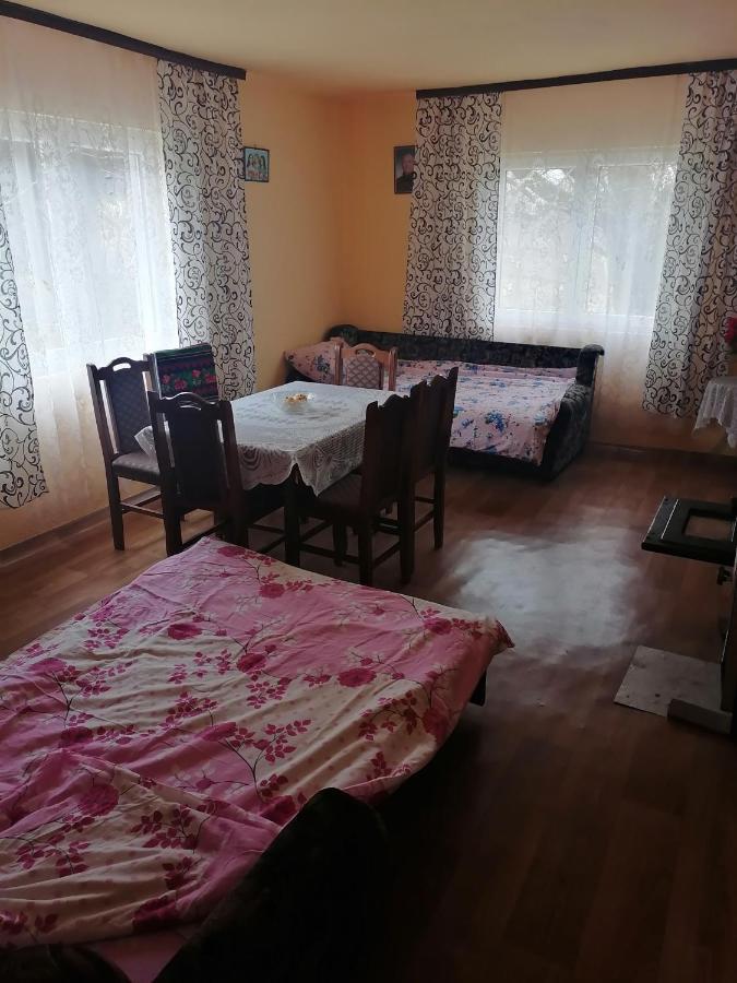 Etno Kuca Badejevic Βίλα Plavna Εξωτερικό φωτογραφία
