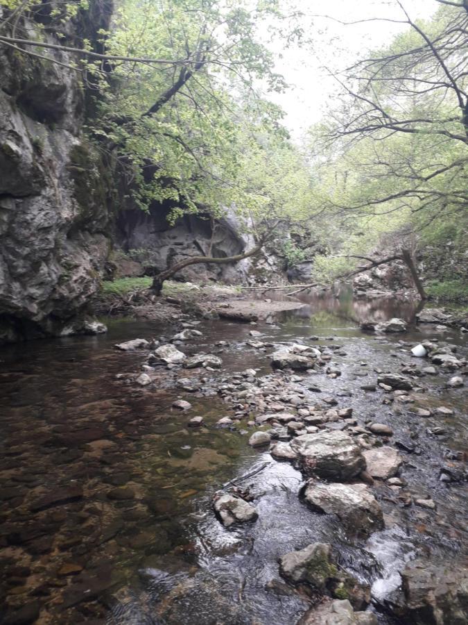 Etno Kuca Badejevic Βίλα Plavna Εξωτερικό φωτογραφία
